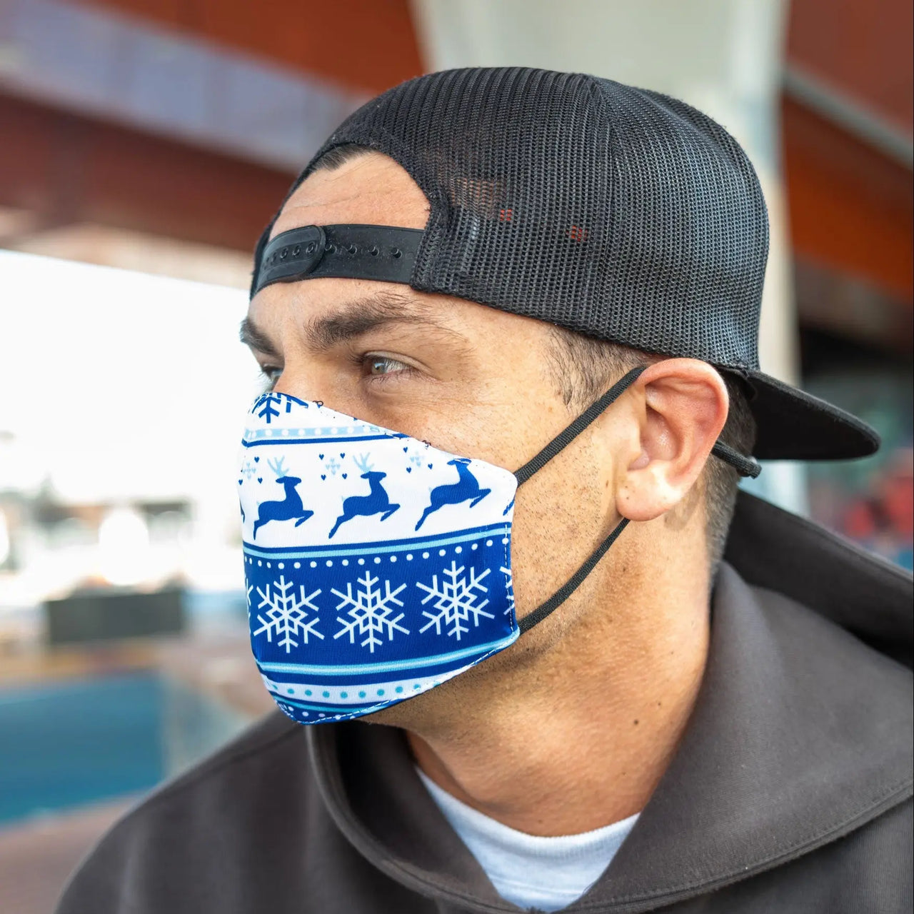 Let’s Get Blitzened Christmas Face Mask
