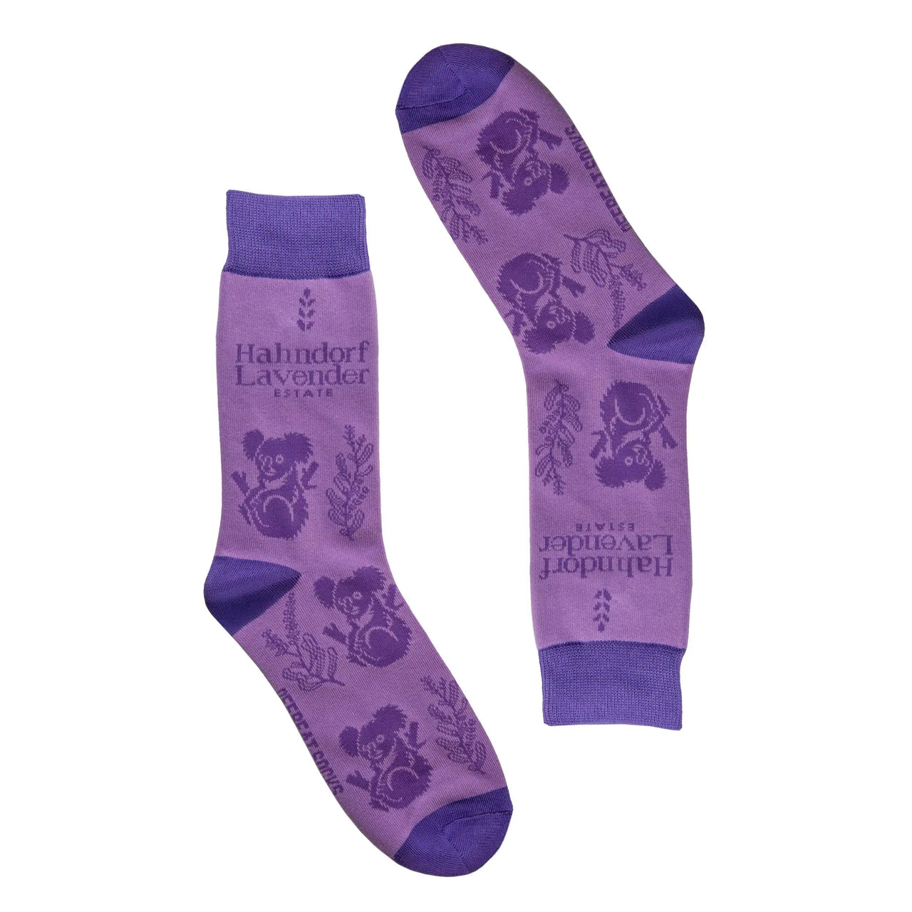 Offbeat Socks x Hahndorf Lavender Estate - Koala Socks The Offbeat Sock Company