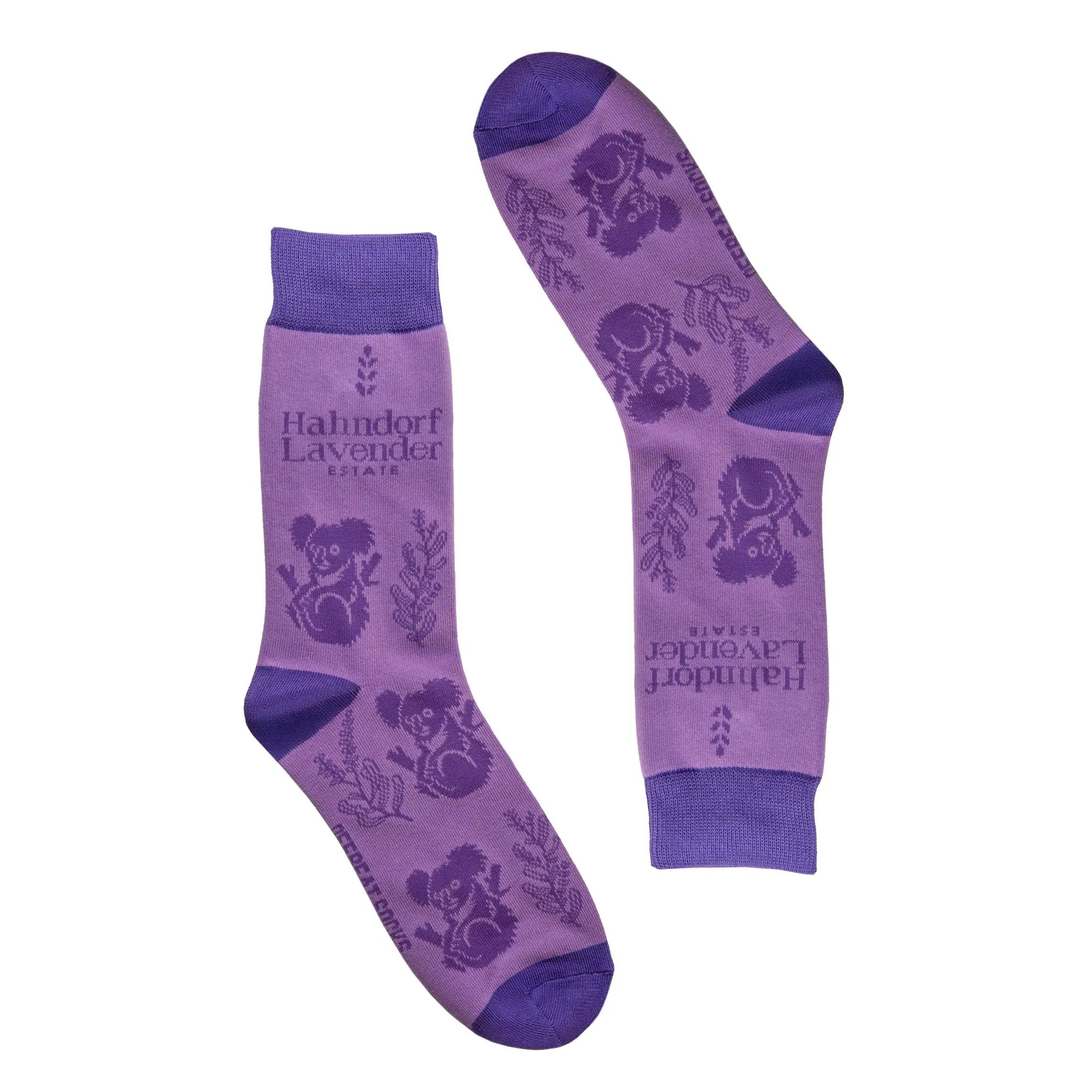 Offbeat Socks x Hahndorf Lavender Estate - Koala Socks The Offbeat Sock Company