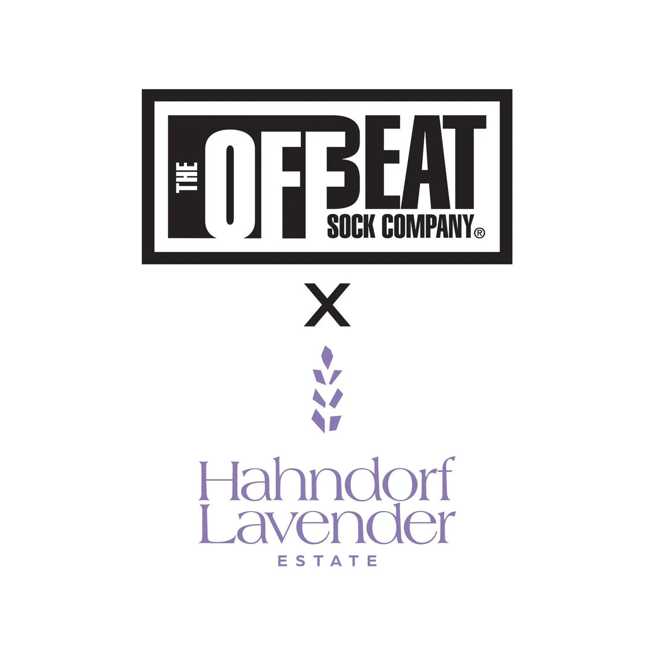 Offbeat Socks x Hahndorf Lavender Estate - Lavender Socks The Offbeat Sock Company