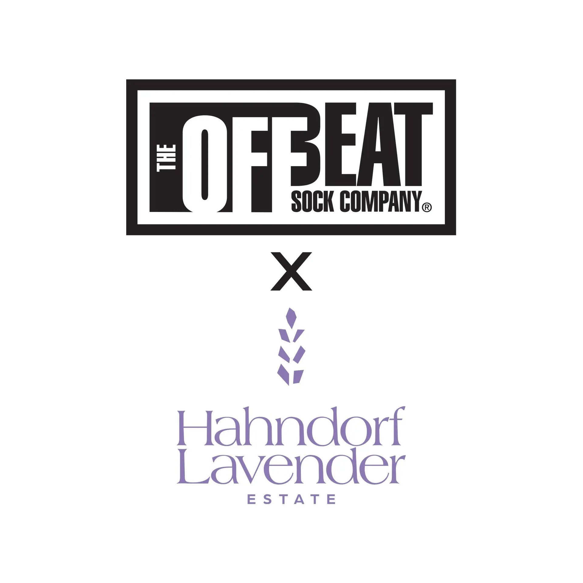 Offbeat Socks x Hahndorf Lavender Estate - Lavender Socks The Offbeat Sock Company