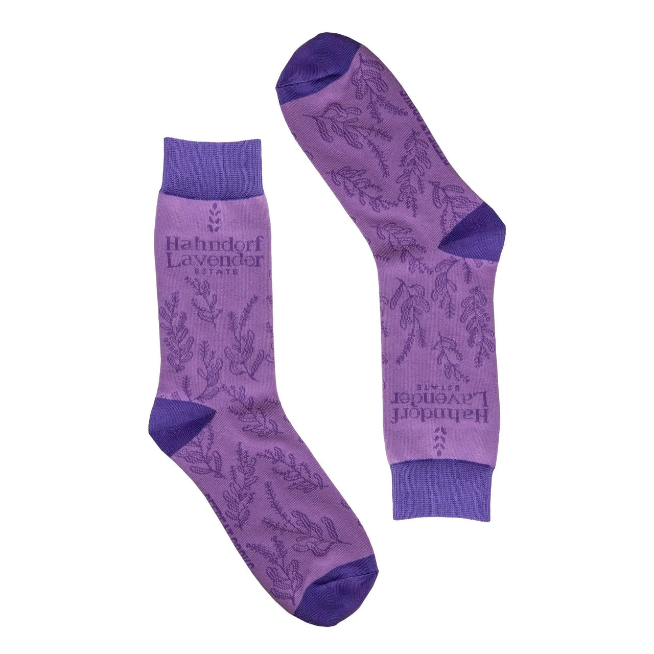 Offbeat Socks x Hahndorf Lavender Estate - Lavender Socks The Offbeat Sock Company