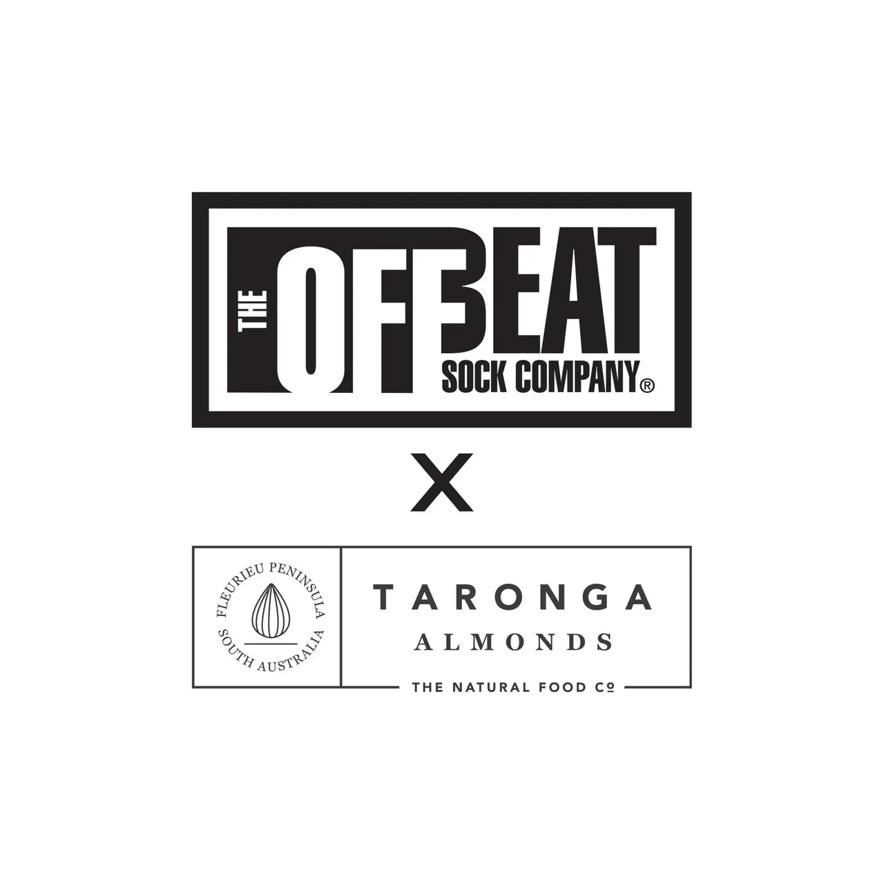 Offbeat Socks x Taronga Almonds - Almond Socks The Offbeat Sock Company