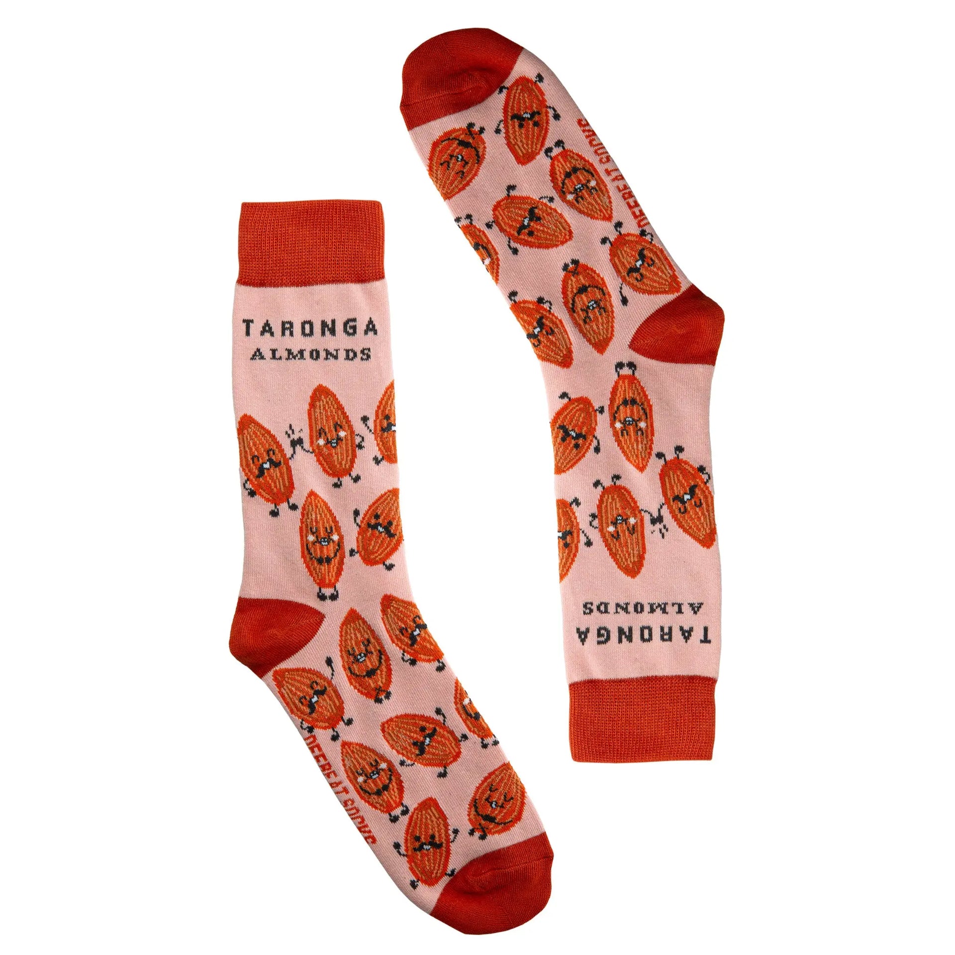 Offbeat Socks x Taronga Almonds - Almond Socks The Offbeat Sock Company